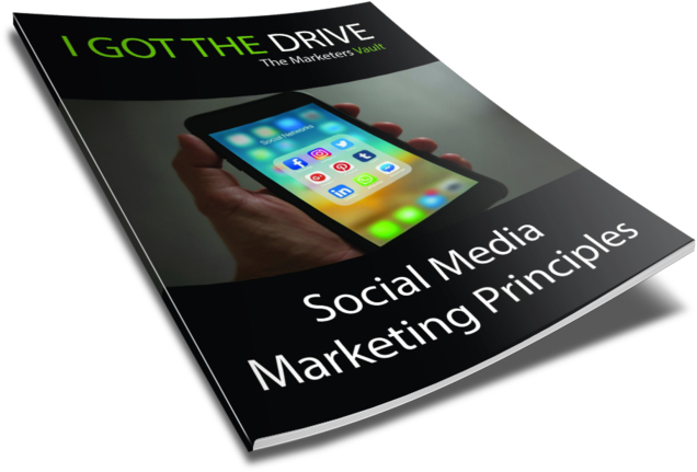 Social Media Marketing Principles book